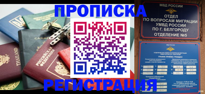 временная регистрация недорого в Козельске